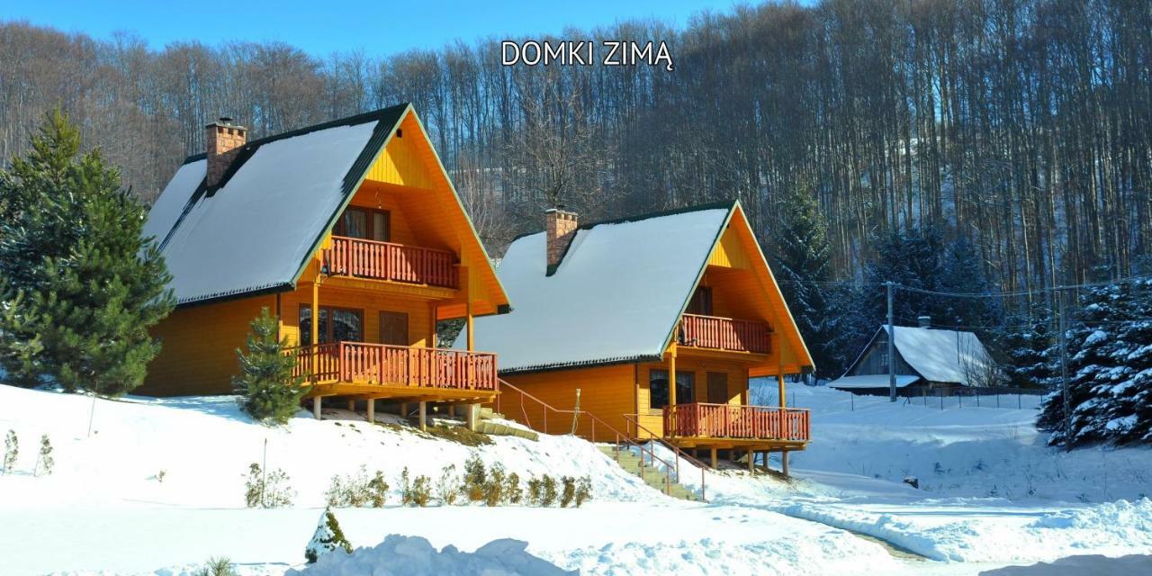 Bieszczady Sosnowa Aleja Villa Baligrod Exterior photo