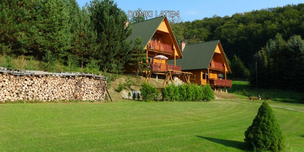 Bieszczady Sosnowa Aleja Villa Baligrod Exterior photo